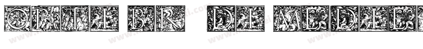 Opti Brudi Medieval字体转换